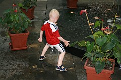 IMG_7856