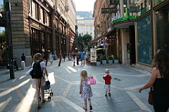 IMG_7864