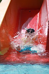 IMG_7904