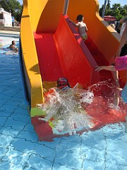 IMG_1895