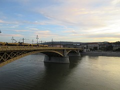 IMG_1917