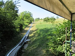 IMG_1964