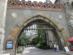 IMG_2205