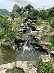 IMG_5569