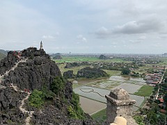 IMG_5590