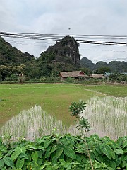 IMG_5686