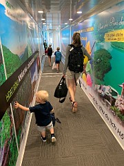 IMG_0547