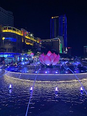 IMG_1297