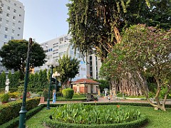 IMG_1377(1)