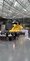 IMG_2139