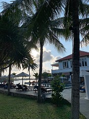 IMG_6229