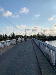 IMG_6239