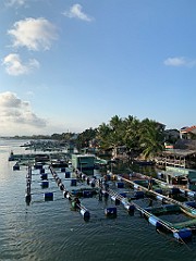 IMG_6242