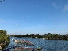 IMG_6245