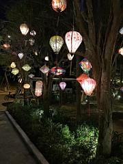 IMG_6255