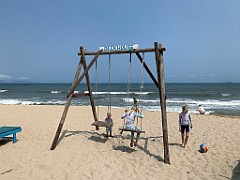 IMG_6511
