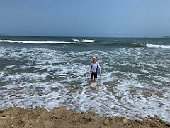 IMG_6517