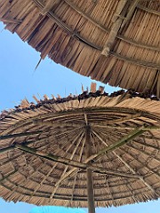IMG_6551