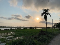 IMG_7923