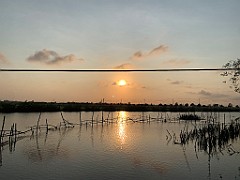 IMG_7926