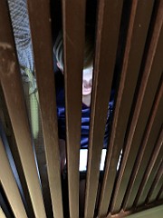 IMG_8189