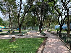 IMG_5039