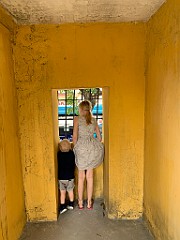 IMG_5181