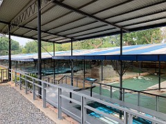 IMG_5353