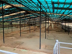IMG_5354