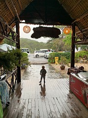 IMG_8387