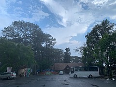 IMG_8391