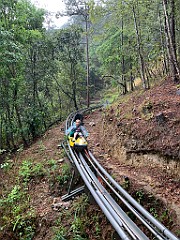 IMG_8446
