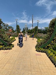 IMG_8504