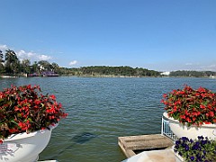 IMG_8875
