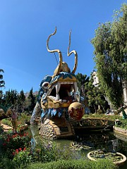 IMG_8937 (2)