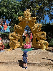IMG_8939 (2)