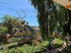 IMG_8947