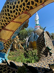 IMG_8948