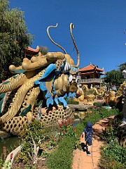 IMG_8950