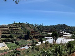 IMG_8957