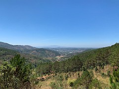 IMG_8990