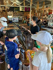 IMG_9199 (2)