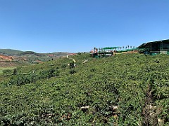 IMG_9205