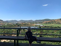 IMG_9286