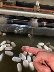 IMG_9550