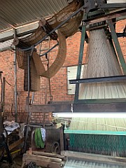IMG_9554