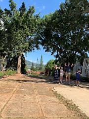 IMG_9681