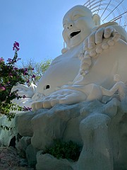 IMG_9774(1)