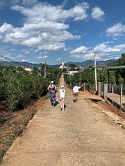 IMG_9996(1)