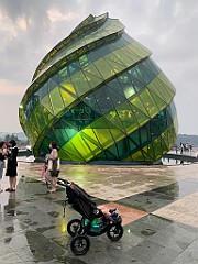 IMG_8262